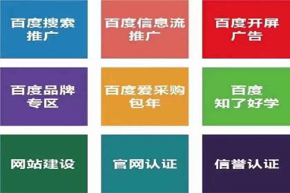 SEM投放策略：成功案例解析